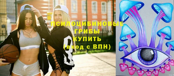 крисы Абинск